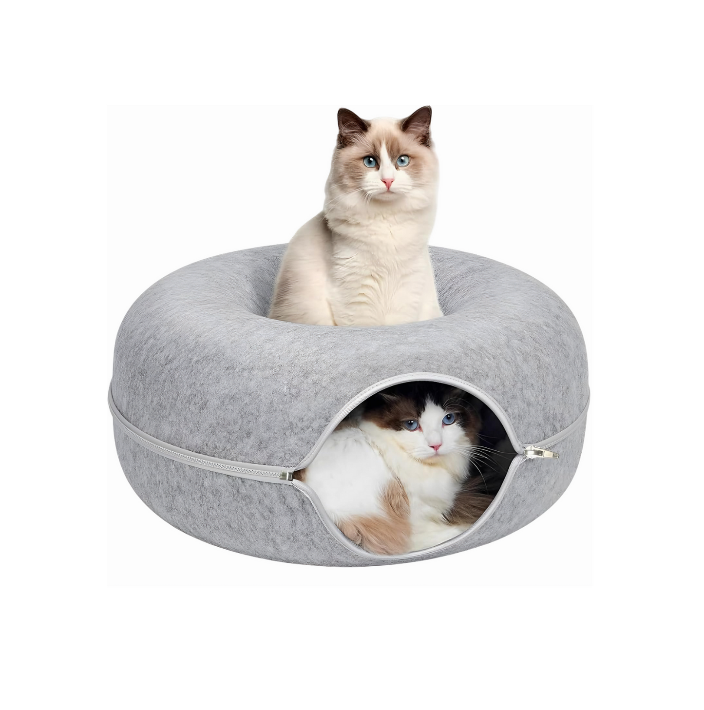 Cat Tunnel Bed - For Indoor Cats