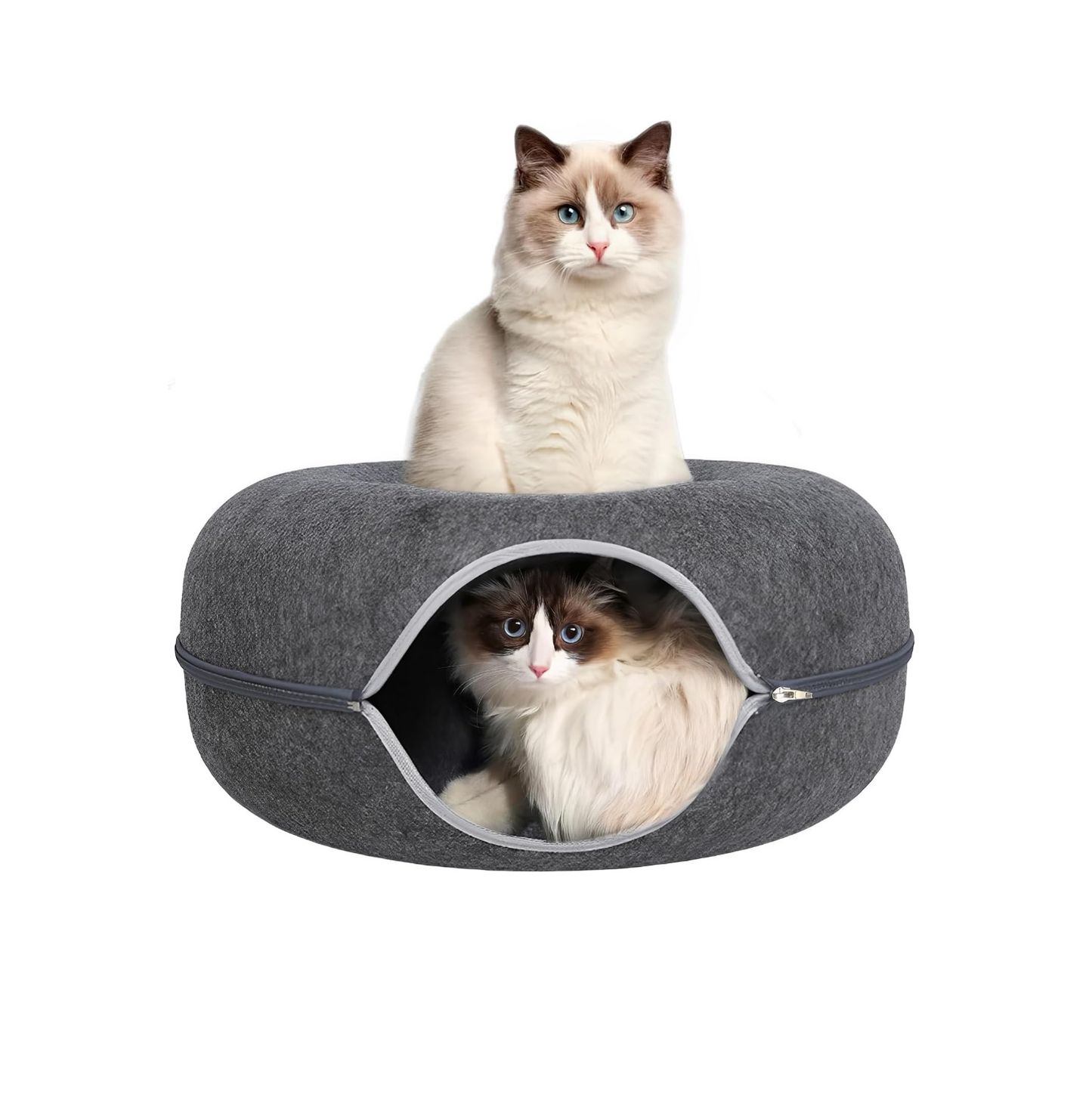 Cat Tunnel Bed - For Indoor Cats
