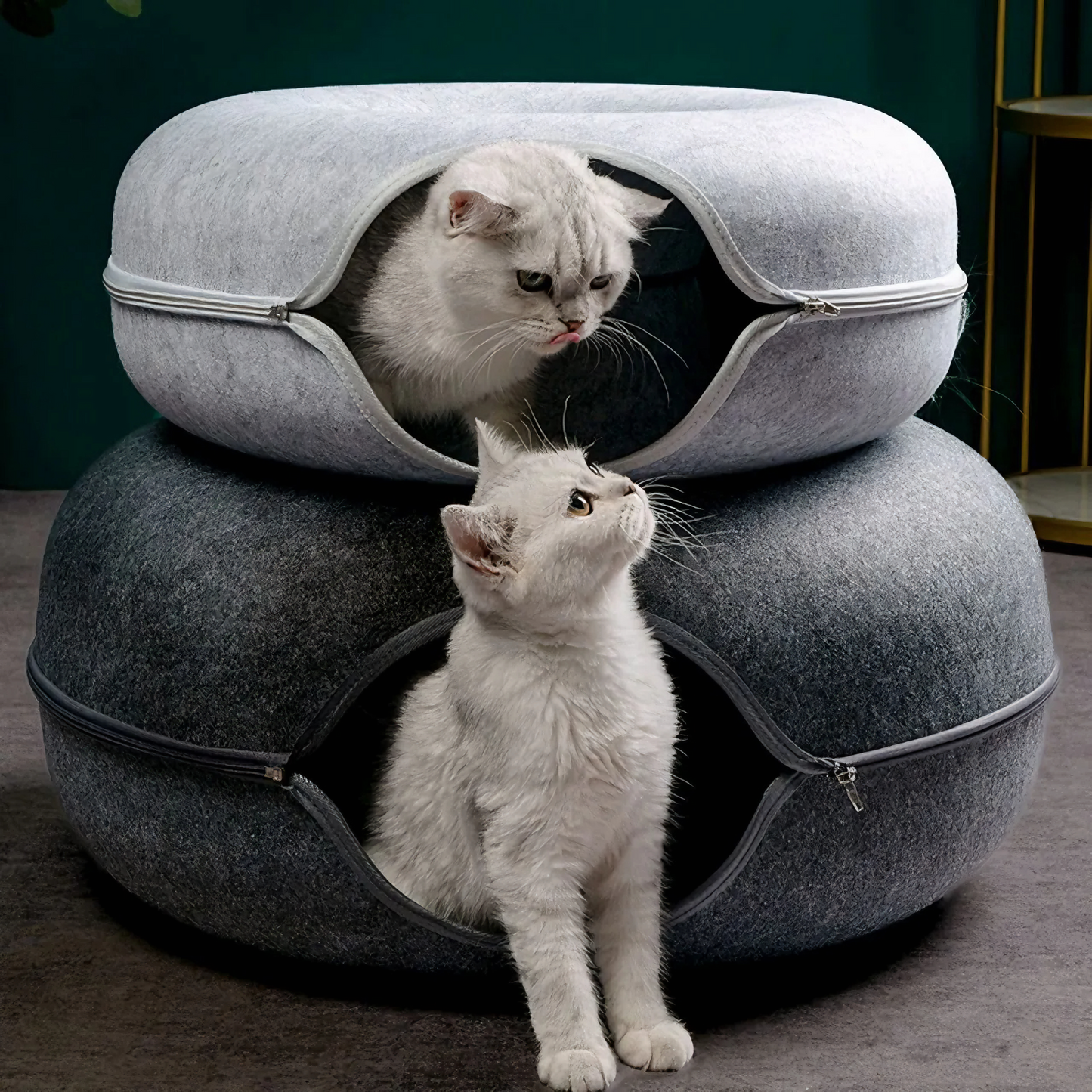 Cat Tunnel Bed - For Indoor Cats