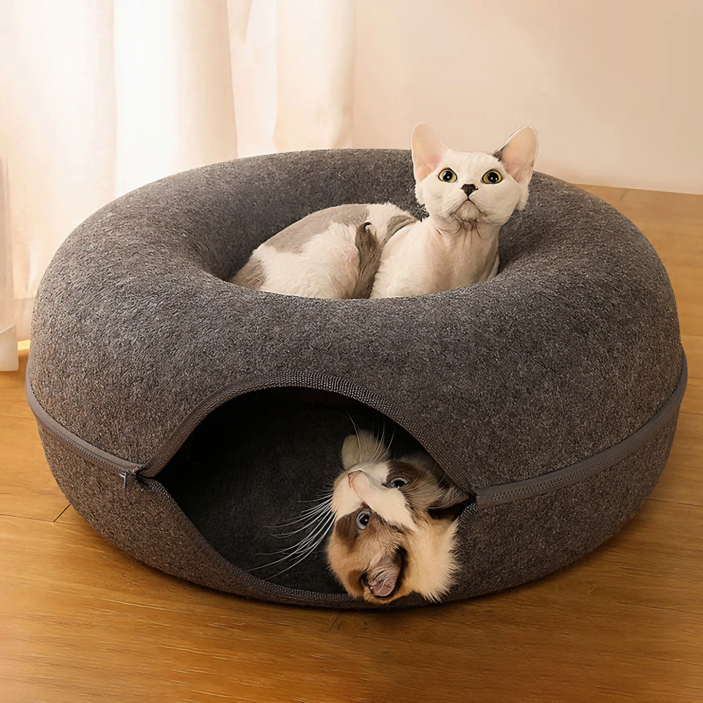 Cat Tunnel Bed - For Indoor Cats